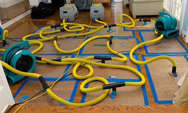 Professional Basement Flood Cleanup technician working in Ft Mitchell, KY